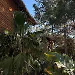 D Palm Premium Living - Kalathas, Chania Prázdninový dům