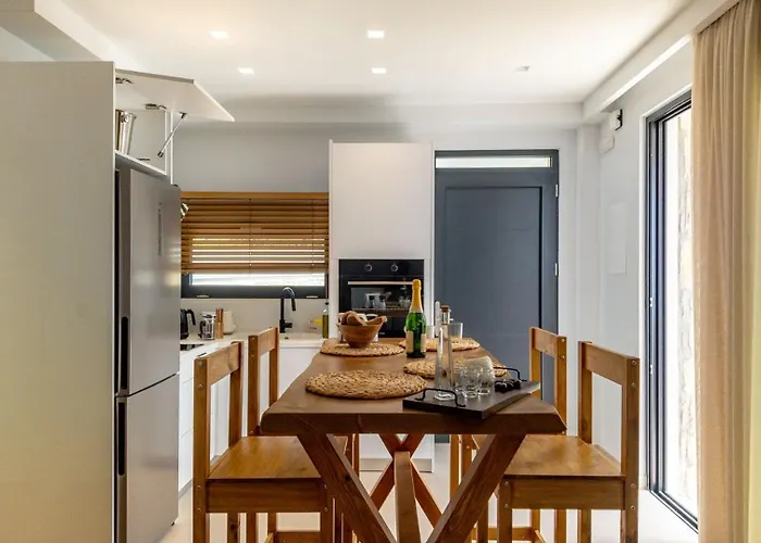 Vakantiehuis D Palm Premium Living - Kalathas, Chania *