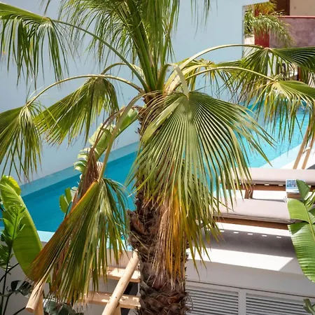 D Palm Premium Living - Kalathas, Chania Hébergement de vacances La Canée