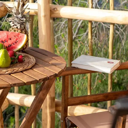Hébergement de vacances D Palm Premium Living - Kalathas, Chania *