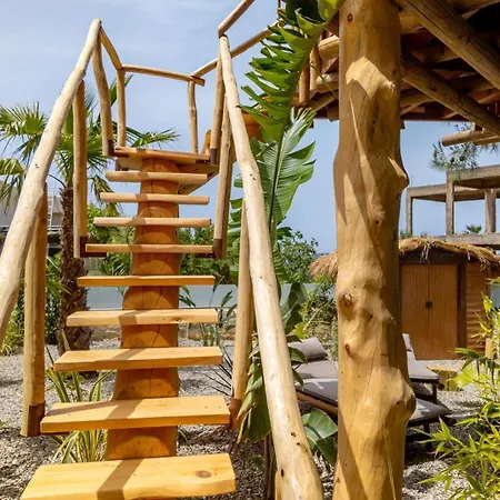 D Palm Premium Living - Kalathas, Chania Hébergement de vacances La Canée