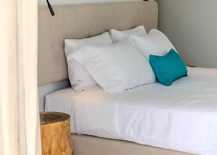 Dom wakacyjny D Palm Premium Living - Kalathas, Chania