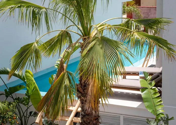 D Palm Premium Living - Kalathas, Chania Dom wakacyjny Chania (Crete)