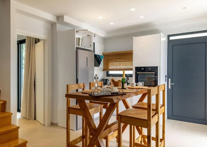 Dom wakacyjny D Palm Premium Living - Kalathas, Chania